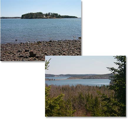 Coastal Maine Real Estate