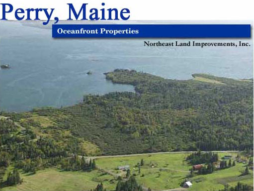 Maine Coast Real Estate